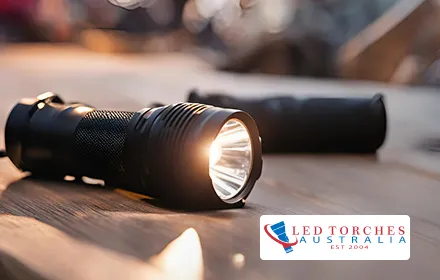 Organic Search increases in 6 months